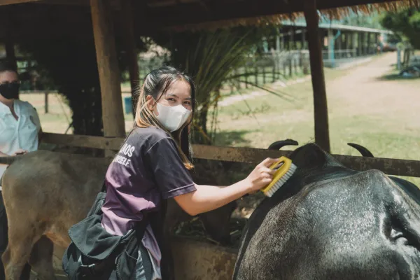 Half-Day Farm & Community Experience