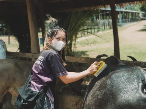 半日农场与社区体验