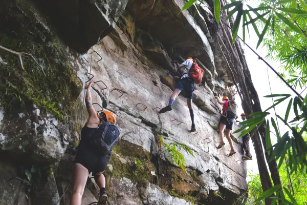 Tree Top Explorer (3 Days/2 Nights)