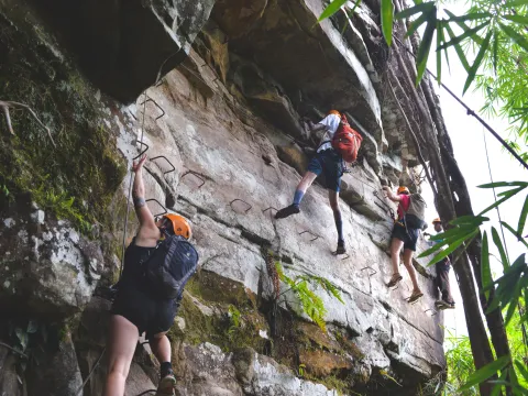 樹頂探險者（3天/2夜）