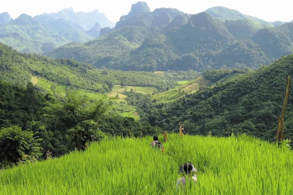 2 Day Trek & Homestay in Nong Khiaw & Tadmok Waterfall