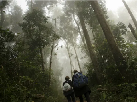 3天徒步和划独木舟/漂流