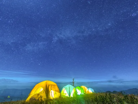 ຍ່າງປ່າ, ຕັ້ງແຄ້ມທີ່ພູຫຍ້າຄາ, ຊົມທະເລມອກ