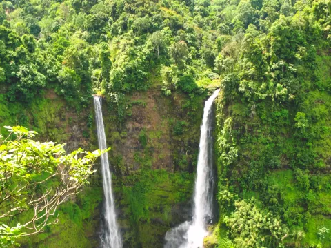 เส้นทางเดินป่าที่ราบสูงโบลาเวน