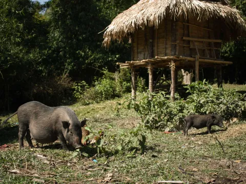山地部落村庄越野骑行