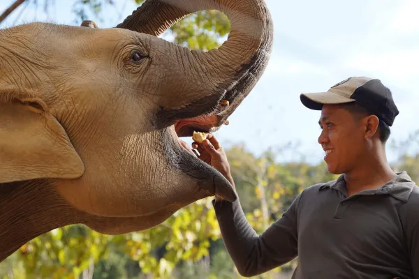 Inside the Hearts of Elephants (Full Day)