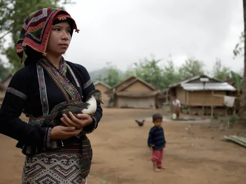 Half-Day Easy Jungle Trek, Village Boat and Tad Sae Waterfall