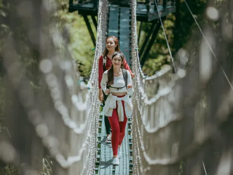 ການໄຕ່ຂົວອູ່