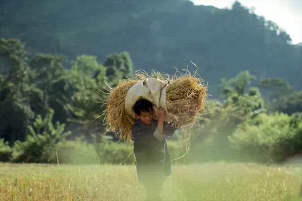 Eco Bungalow - Field Work