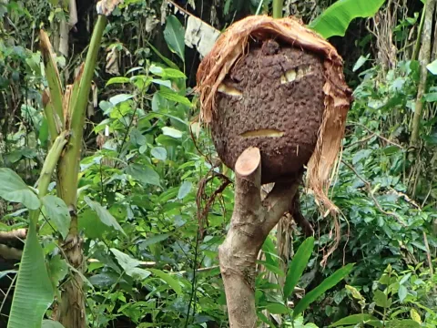 野生刺激小径露营与寄宿