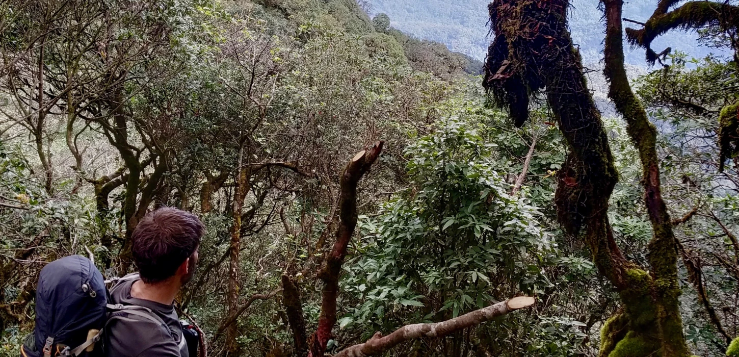 Hiking