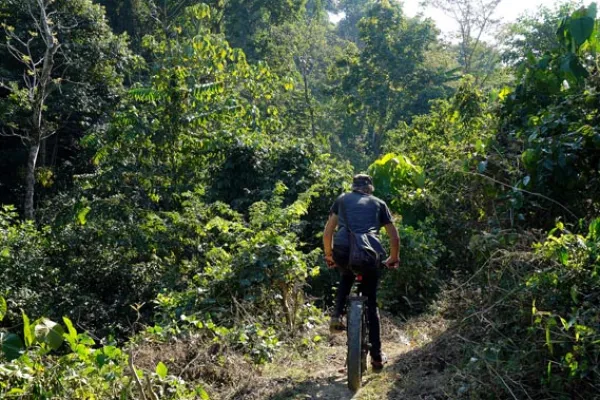 Full-Day E-Mountain Biking Medium) & Nature Adventure