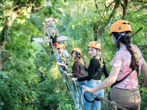 组合项目：花园绳索课程和环绕花园骑大象