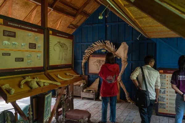 A Short Visit to Elephant Village