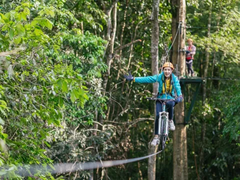 惊人的树顶16项任务