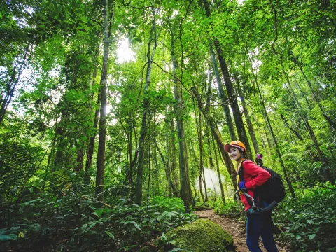 徒步，空中吊桥，瀑布