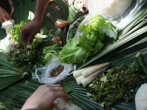 南河国家级自然保护区探险游