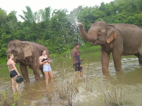 Elephant Adventure: Half-Day Experience