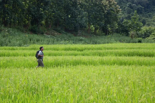 3-Day Nong Khiaw Jungle Adventure & River Expedition