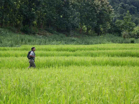 3-Day Nong Khiaw Jungle Adventure & River Expedition