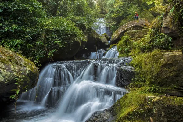 รถรีสอร์ท เดินป่า สะพานลอยฟ้า น้ำตก, ซิปไลน์ 11 สถานี