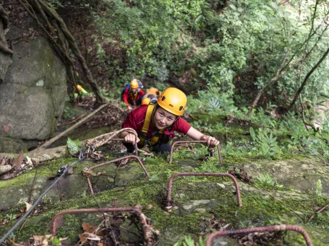 度假村车游览，徒步，攀岩，滑索，树屋和绳降