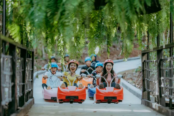 ຂີ່ລົດລຸກ (Luge)