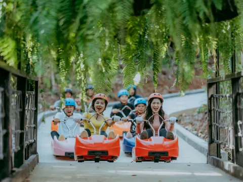 ຂີ່ລົດລຸກ (Luge)