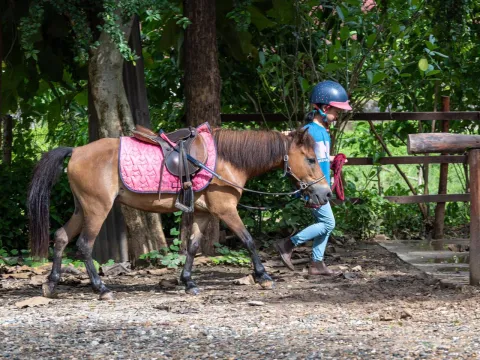 1-Hour Pony Ride Through Village and Forest