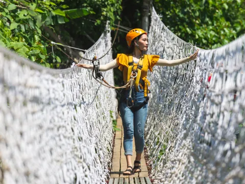 ອີເລເຟນ ຊາເລັນ (Elephant Challenge)