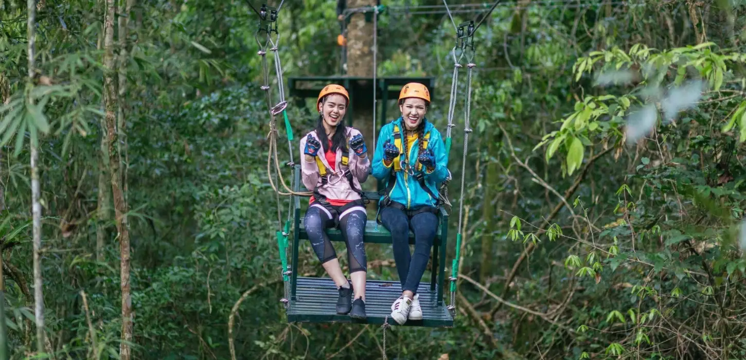 惊人的树顶16任务