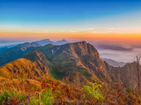 ຍ່າງປ່າ, ຕັ້ງແຄ້ມຢູ່ພູຫຍ້າຄາ ແລະ ພູຜາຫີນ