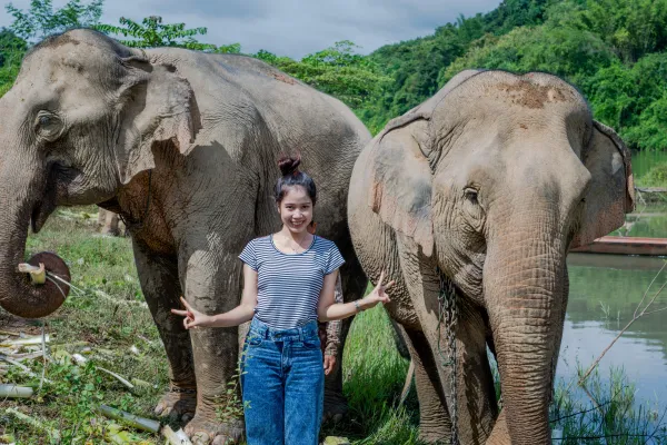 Half Day Elephant Experience