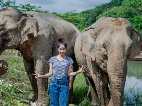 Half Day Elephant Experience