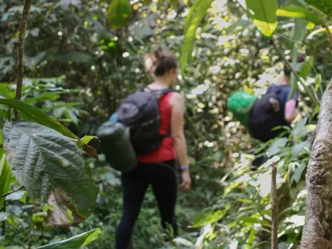 南河雨林徒步旅行