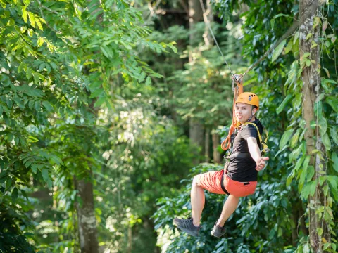 组合项目：绳索课程与滑索冒险