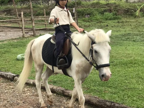 Pony Ride Adventure in the Garden and Farm
