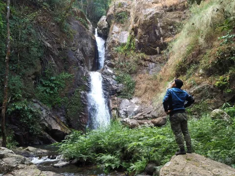 ນໍ້າຕົກຕາດ ແລະ ຍ່າງປ່າເຮືອນຮັງນົກ